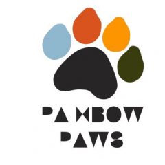 Rainbow Paws SA